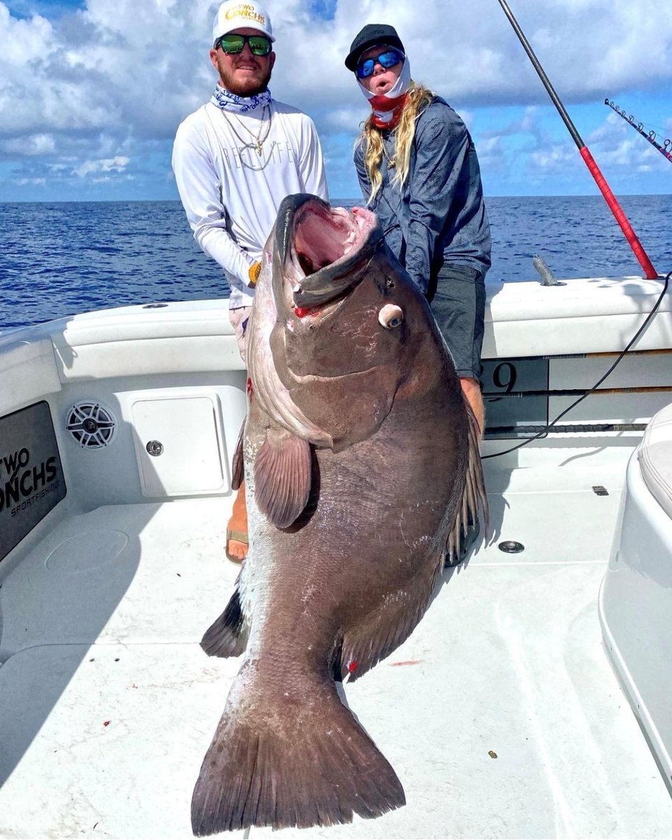 Can you name this grouper? 📸 @twoconchs 

#IAMSPORTSMAN #ThisIsFishing #fishing #fish #bigfish #grouper #grouperfishing #outdoors #ocean