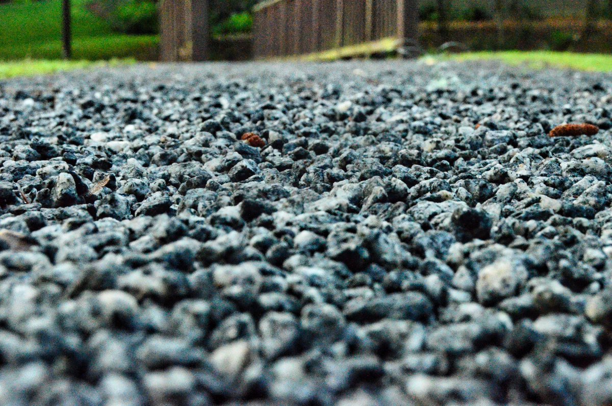 StevenLoweGA's tweet photo. Went for a ride and a walk this morning and took a few pictures.
#photography #photo https://t.co/sV5WegYJRz