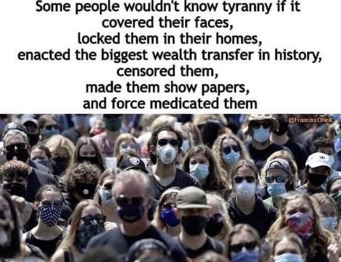 DollarVigilante's tweet image. 