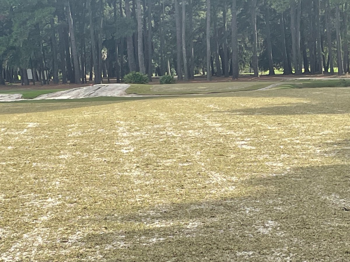 KEinwag's tweet photo. Belfair and Leibold crews knocked out planting the West Course greens in 2 days with the help of Mother Nature giving us a break from precipitation. Getting the mowers ready for next week. https://t.co/cE2vVYj8hH
