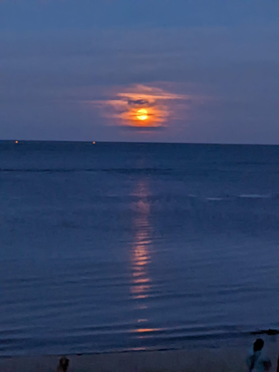 SGreenAuthor's tweet photo. There is very little that a swim at dusk followed by the rise of a full moon doesn’t put right #feelinginspired https://t.co/PPhdTLmflG