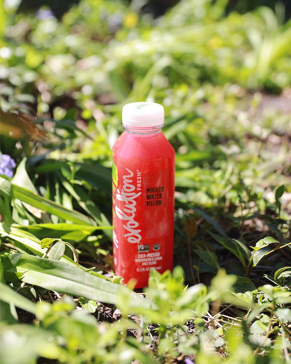 Evolution Fresh tweet media