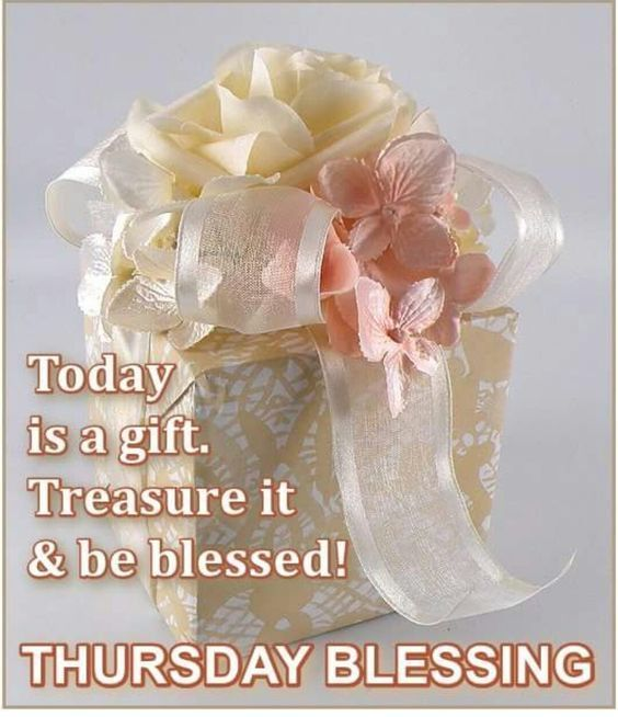 ranigill7's tweet photo. ๐ท๐ท๐ท๐ท๐ค๐ค๐ค๐ค๐ท๐ท๐ท๐ท
Rani Gill
#Happythursday #BeBlessedAlways https://t.co/BChZuLDOwL