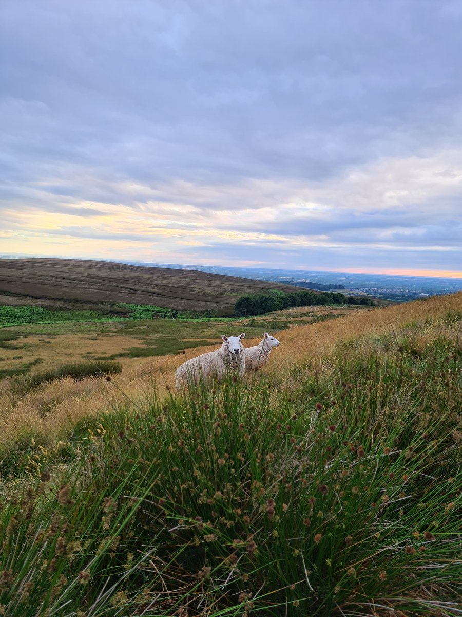 njbclb's tweet photo. Last night's walk around White Coppice. #Chorley #WhiteCoppice #Lancashire @InChorley #TuesdayClub https://t.co/4hMns1wOnd
