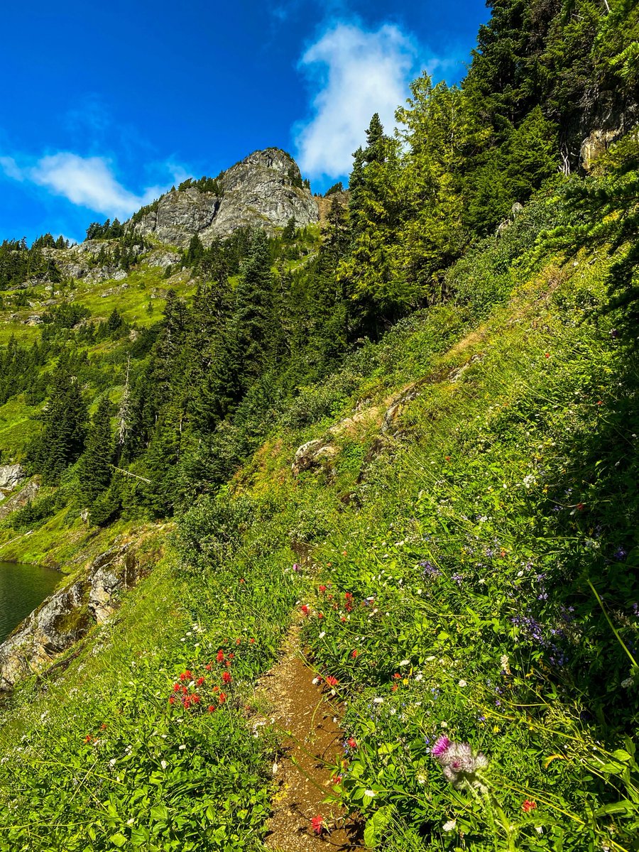 lo_the_og's tweet photo. @UnionGapWA A5: Twin Lakes! After a short but intense 25-minute drive up a forest road, you will find two stunning lakes, &amp; a 4.4-mile roundtrip hike. You can also wander over to Artist Point for more exploring before heading back for dinner at North Fork Brewery 😉
#SmallTownTourismChat https://t.co/gxslZaW8wc