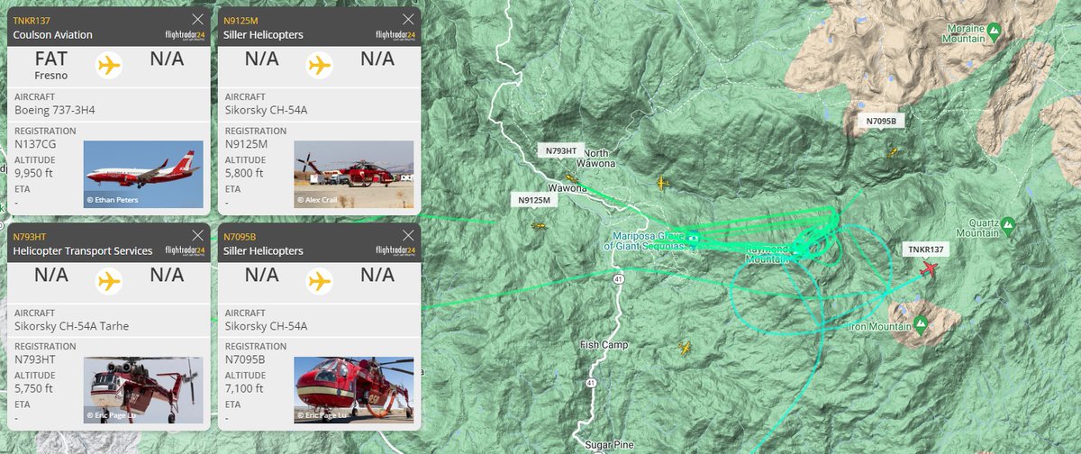 BCWildfireHelp's tweet photo. #CAfire | #WashburnFire #YosemiteYP
➡️3:02pm - (3) cranes + #T137 @CoulsonAviation working over the fire area - *thread
https://t.co/Zv8tsijWfn https://t.co/HhNpJfxMvm