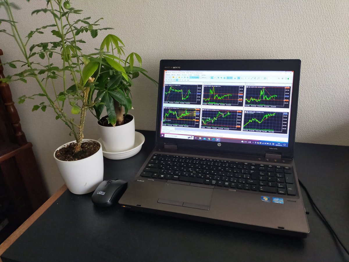 ペニー株トレーダーデイトレーディング株式投資家のギフト 長袖tシャツ Q3x1rsifxe レディースアクセサリー Beacondinernj Com