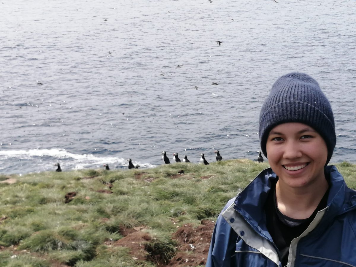 Check out our <a href="/WISE_NL/">WISE NL</a> student for the summer, Jasmine, on her first trip to the field to assess the contents of #puffin burrows on Great Island!