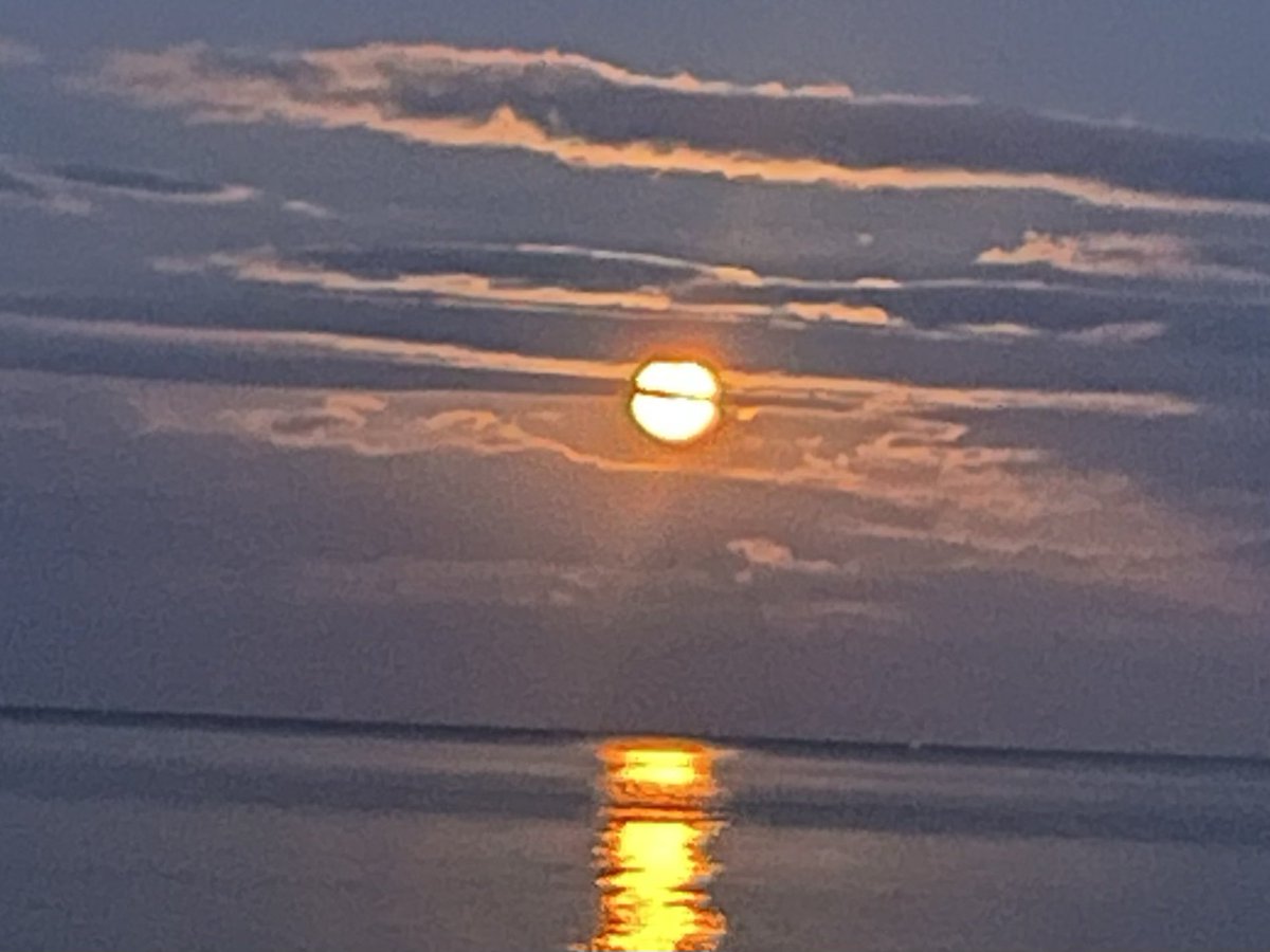 Máirín tweet media