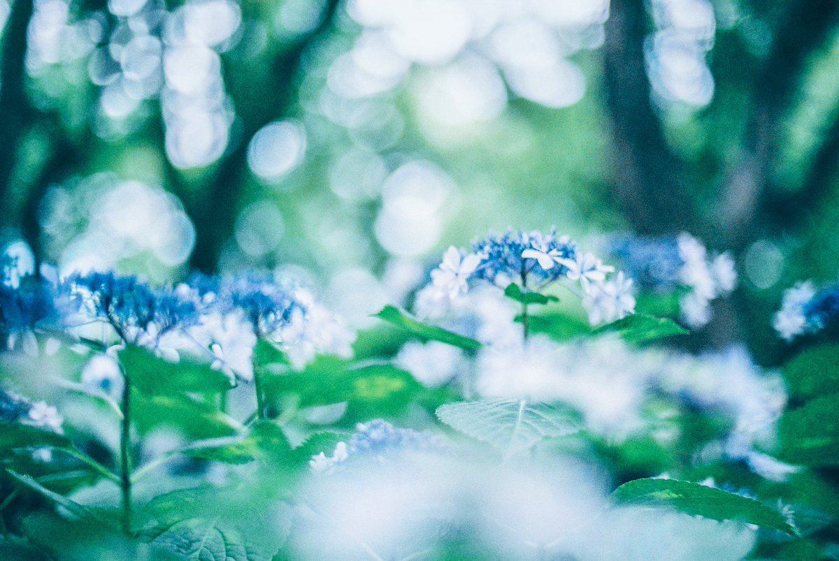 風待 凪 tweet media