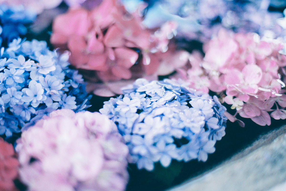 風待 凪 tweet media