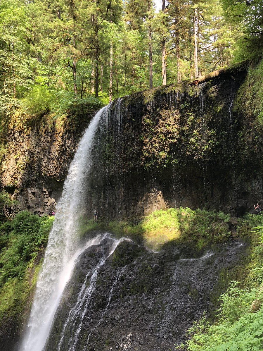JasonRibbentrop's tweet photo. Spent the weekend unplugging from work and exploring Oregon. Checked out Silver Falls and Mt. Hood!#iamintel #intern4intel https://t.co/4IIWgrWbZa