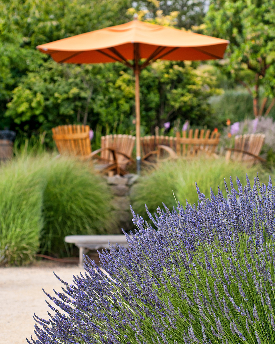 Thank you to @travelandleisure for the recent mention of Matanzas Creek Winery in “15 Beautiful Sonoma Wineries to Visit Right Now.”   
 
 travelandleisure.com/food-drink/win…