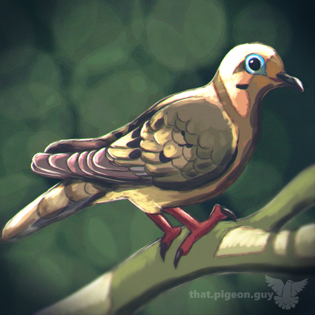 realpigeonguy's tweet photo. “24” a video from @LostInThePondUS  made me want to draw a mourning dove

#art #artist #drawing #pigeon #bird https://t.co/7IhrzTheyQ