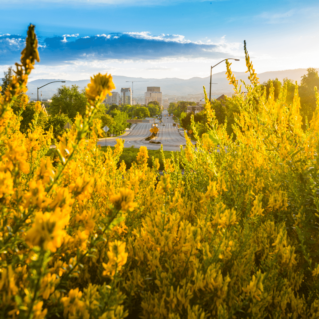 ahaairlines's tweet photo. ✈️ Don't miss out on ROUNDTRIP ticket giveaways 👀
✔️ 2 days left for our Magic Mountain Loop Giveaway (RNO --> FAT) https://t.co/oz7cCKxAG0
✔️ #Idaho Falls <--> #Reno Giveaway ends 7/17: https://t.co/M7sP3w11gV 
✔️ #Boise <--> Reno Giveaway ends 7/17: https://t.co/OA62dExl7R https://t.co/gxe3hZWzvR