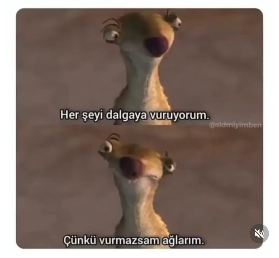 Yengeç burcu