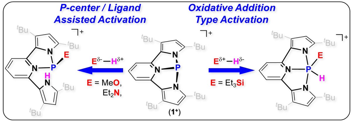 Dobrovetsky Group (@dobrovetskyg) on Twitter photo Fresh from the oven: Dual Reactivity of a Geometrically Constrained Phosphenium Cation. Just accepted in <a href="/angew_chem/">Angewandte Chemie</a>. onlinelibrary.wiley.com/doi/10.1002/an… Fresh from the oven: Dual Reactivity of a Geometrically Constrained Phosphenium Cation. Just accepted in <a href="/angew_chem/">Angewandte Chemie</a>. onlinelibrary.wiley.com/doi/10.1002/an…