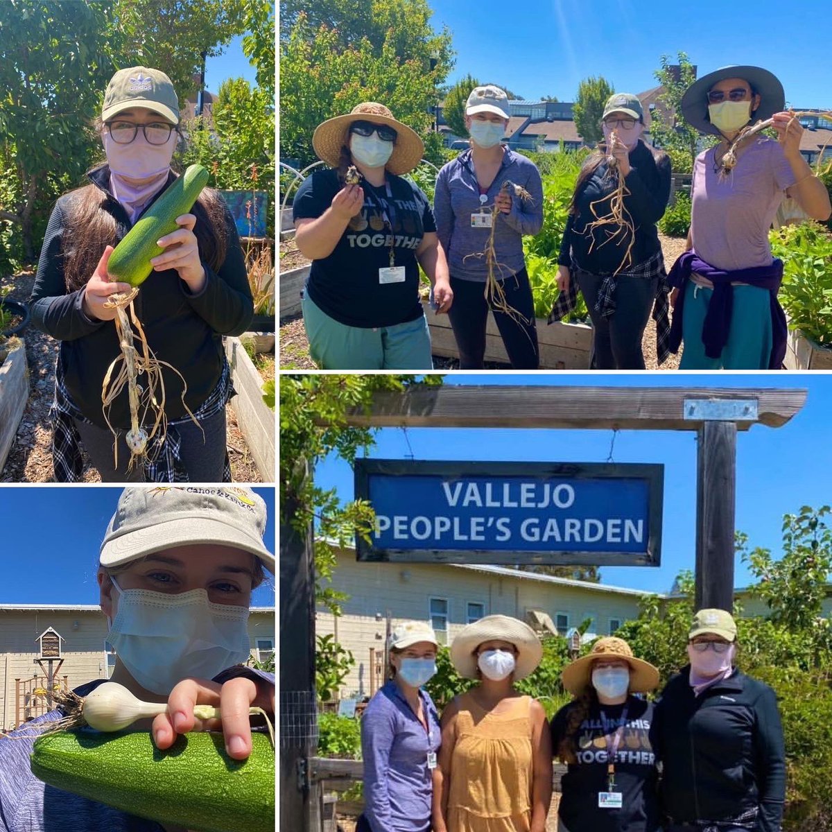 KPNapaSolanoFM's tweet photo. A few of #kpnsfmrpclassof2025 with #kpnsfmr #corefaculty, Dr. Chen learning about Vallejo People’s Garden efforts to help the less fortunate by providing them with #healthy organic food. #kpnsfmr #kpnsfmrp #kpnapasolanofmr #kpnapasolanofmrp #meded #thisisfammed #fmrevolution https://t.co/v5gXEmBbl5