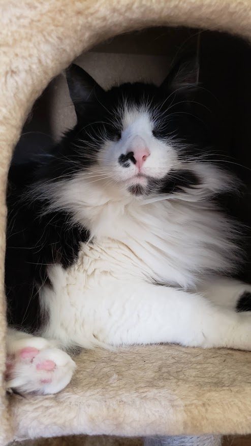 Atta' boy Luther! tweet media