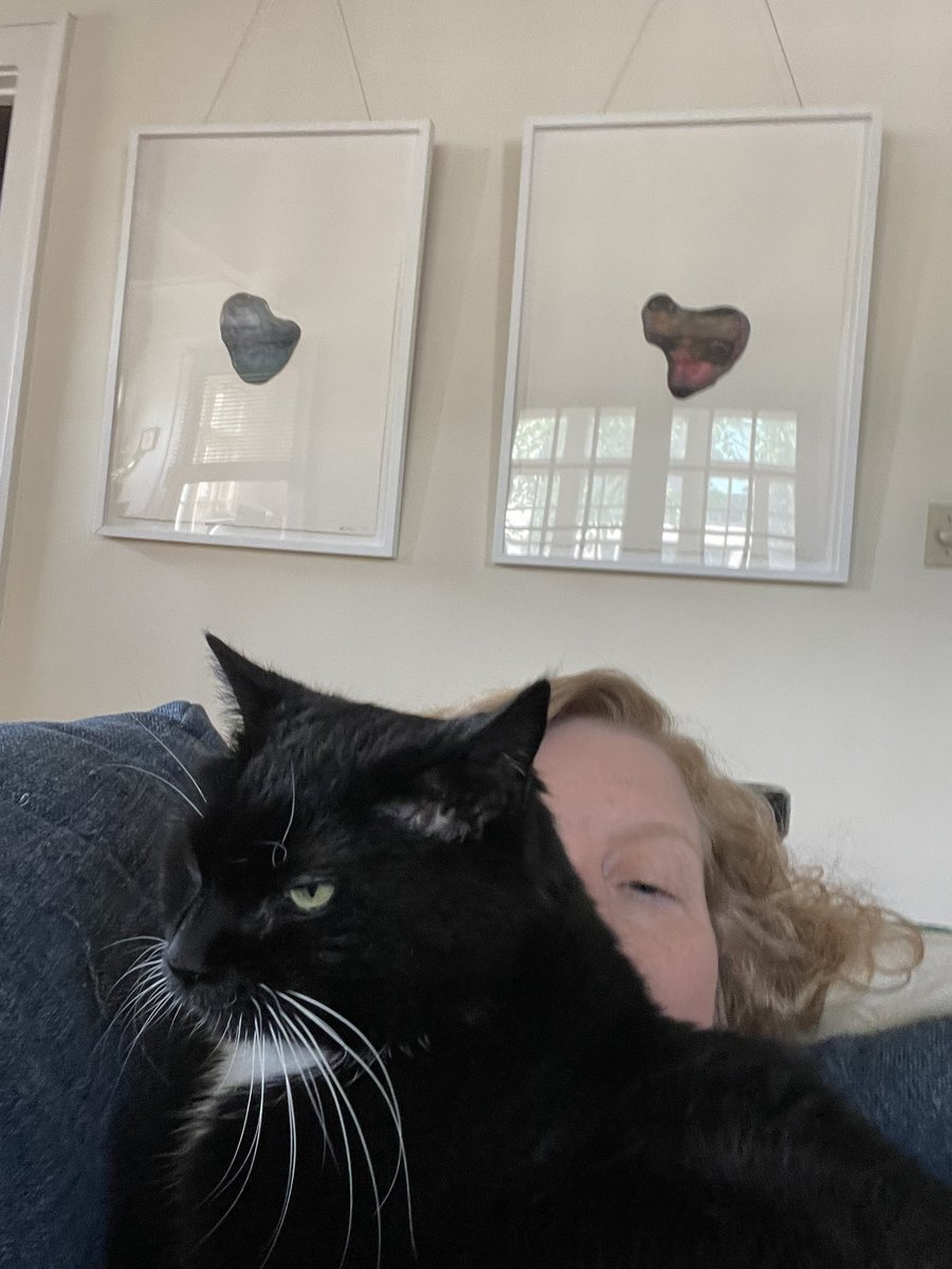 battlegrrrl's tweet photo. @ellle_em Gráinne not giving a sh*t about my personal space. https://t.co/r8sYmxHMCZ