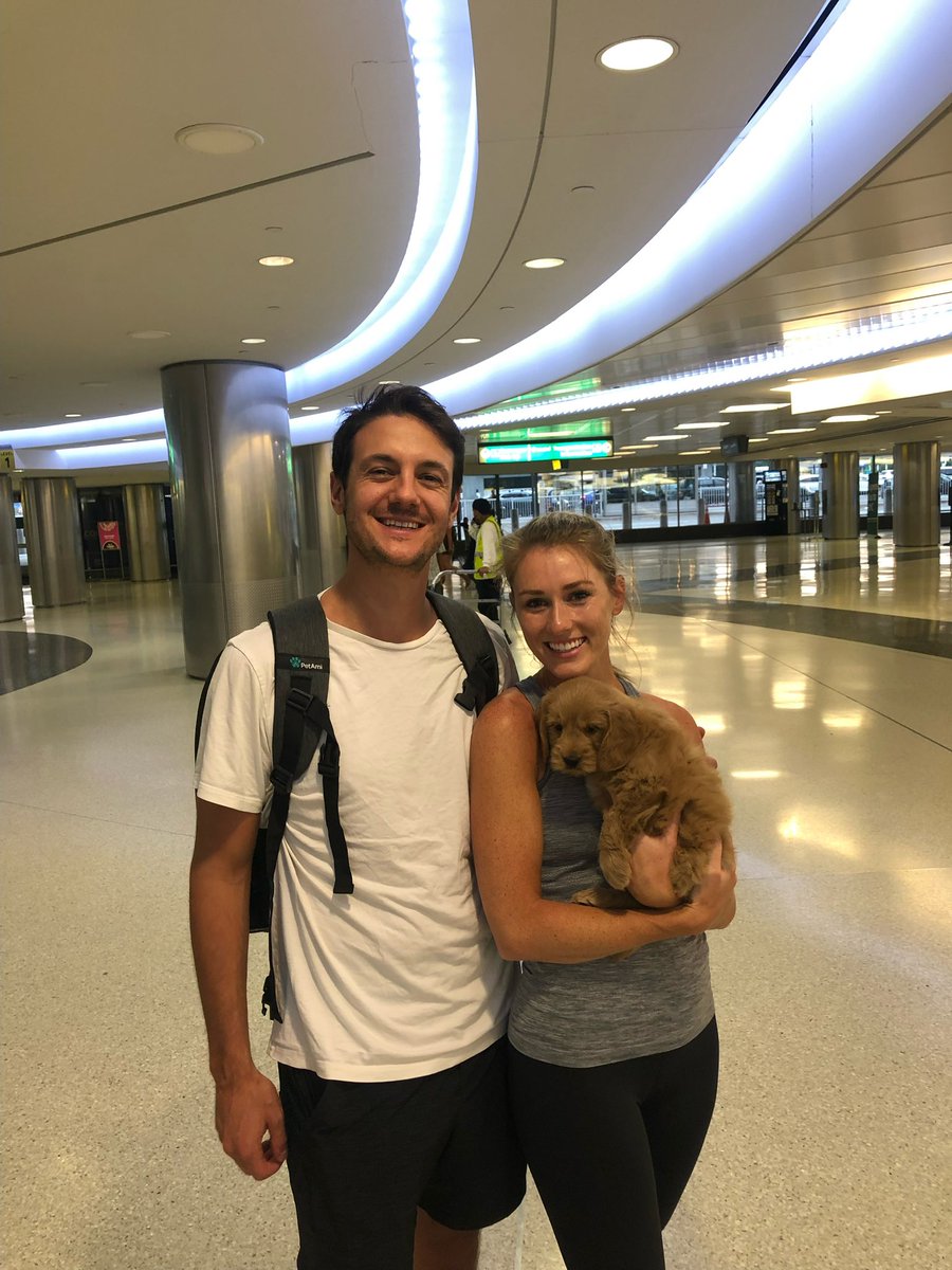 Todd Saunders (@toddsaunders) on Twitter photo Welcome to the family Murphy <a href="/jilliankcanning/">Jillian Canning Saunders</a>
I’m so happy to have someone in the family that likes hardwood flooring as much as I do! Welcome to the family Murphy <a href="/jilliankcanning/">Jillian Canning Saunders</a>
I’m so happy to have someone in the family that likes hardwood flooring as much as I do!