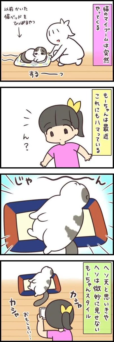 「なんでこの状態に?」最近ハマっている変てこなポーズとは【連載】もふもふスコたん#234|ねこのきもちWEB MAGAZINE https://t.co/We6ScOPsZe