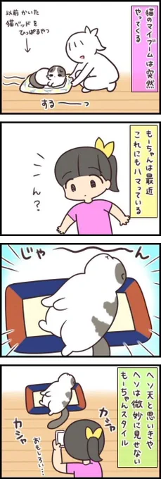 「なんでこの状態に?」最近ハマっている変てこなポーズとは【連載】もふもふスコたん#234|ねこのきもちWEB MAGAZINE https://t.co/We6ScOPsZe 