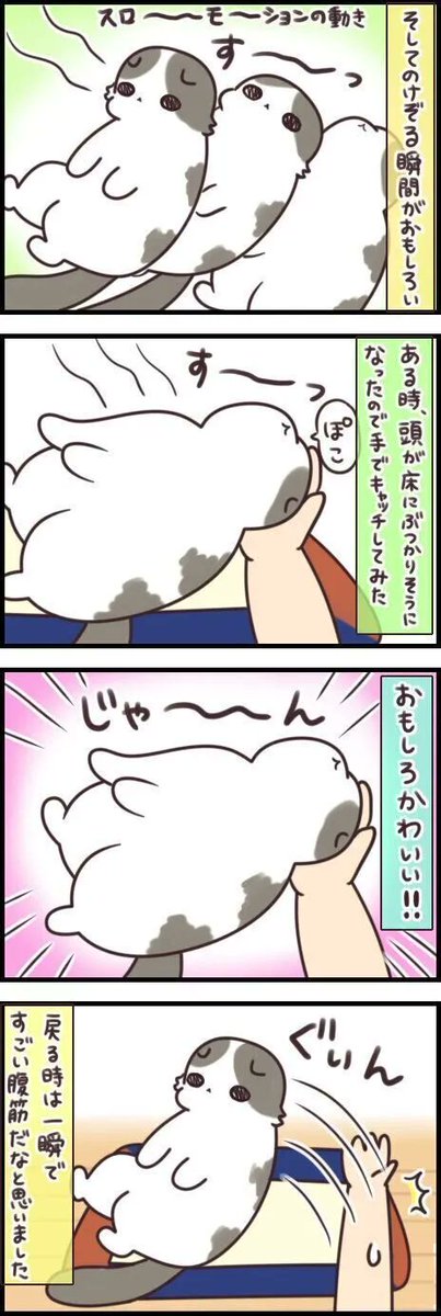 「なんでこの状態に?」最近ハマっている変てこなポーズとは【連載】もふもふスコたん#234|ねこのきもちWEB MAGAZINE https://t.co/We6ScOPsZe