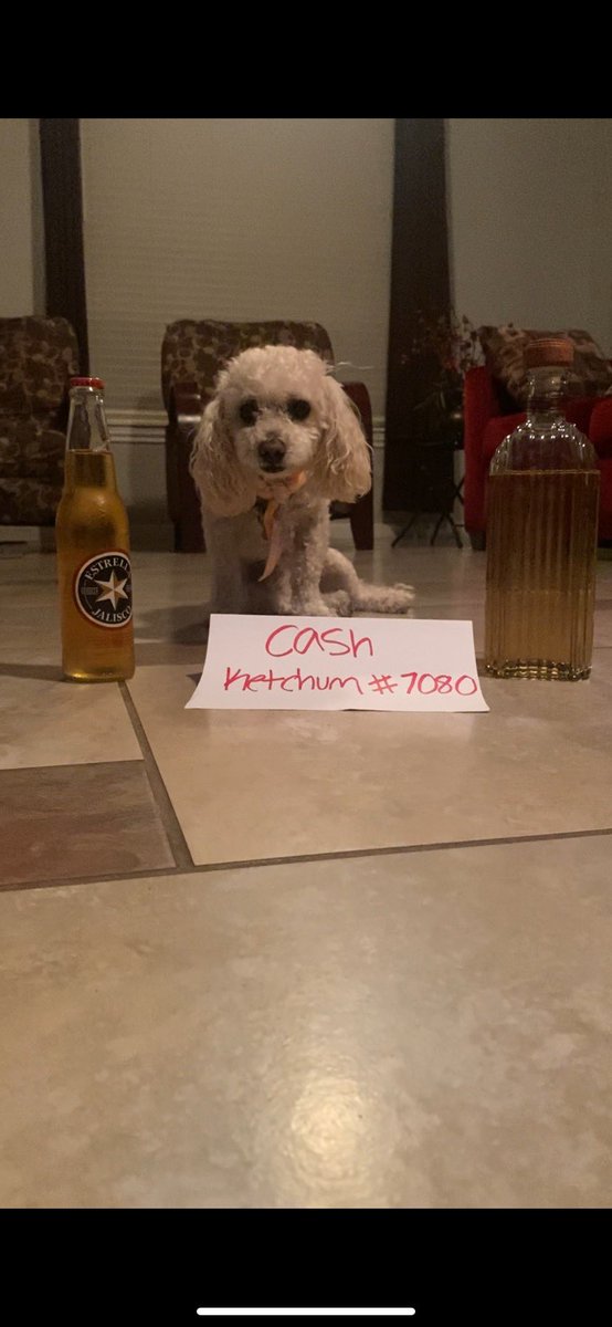 CashKetchum_'s tweet photo. @operationSIN Here’s my post of my dog sinning for #SINRewind hope you enjoy 😈 https://t.co/RuNME2YiCa