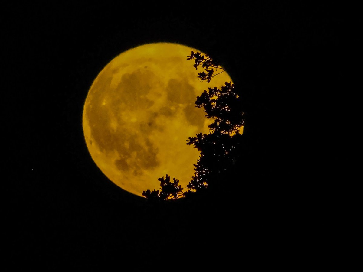 Jojo_audio's tweet photo. The moon is quite pretty tonight https://t.co/FU31CXcLKP