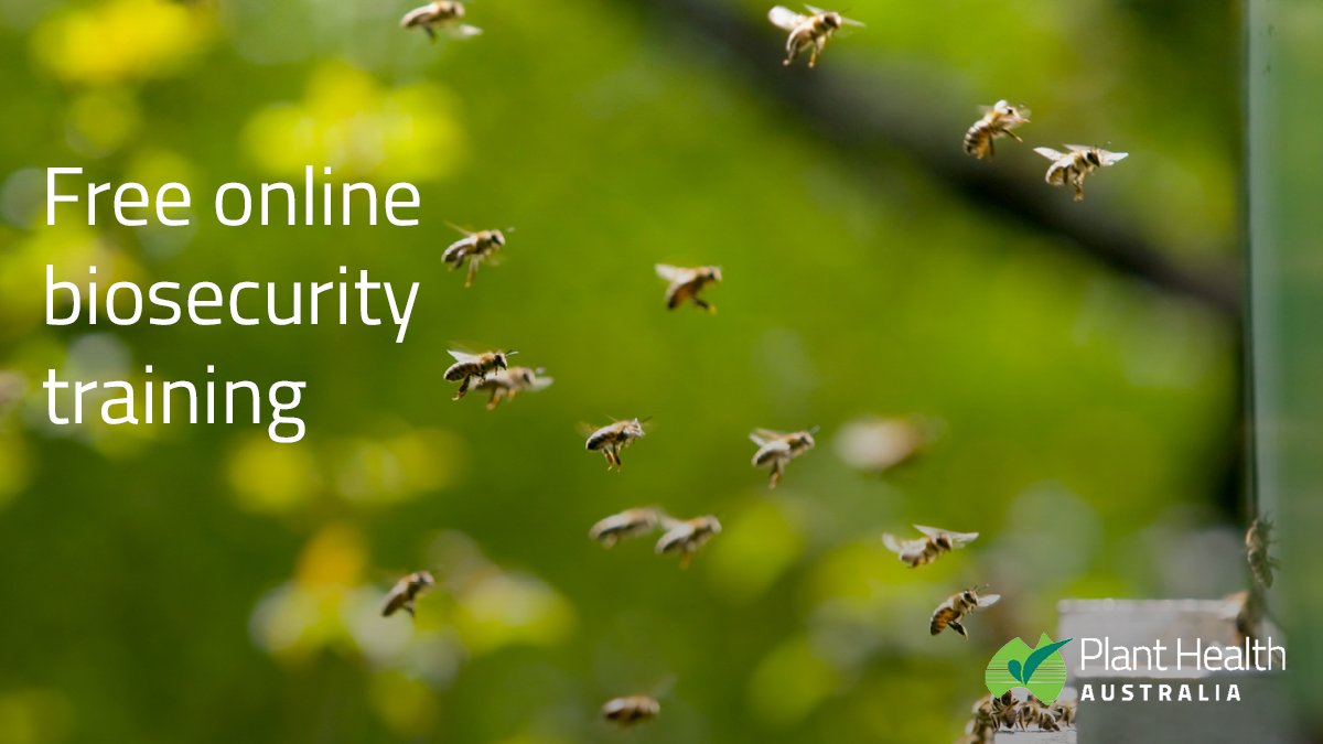 PHA offers a free #biosecurity course for beekeepers. This course supports the Australian Honey Bee Industry Biosecurity Code of Practice and is one way to meet the training requirement of the Code. 🐝🐝🐝 bit.ly/2ONKLJS  
#biosecurity #honeybees #freetraining