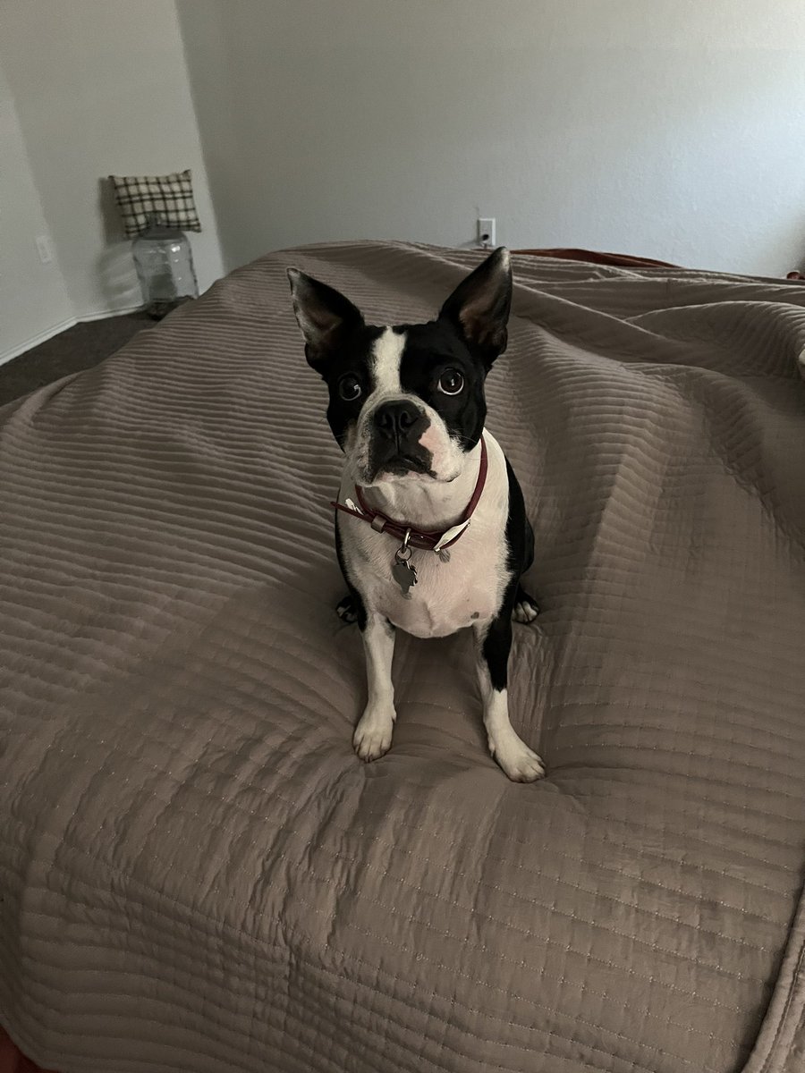 HandrickKevin's tweet image. Happy Birthday to our little girl today Mandy turns 1 yr old today.