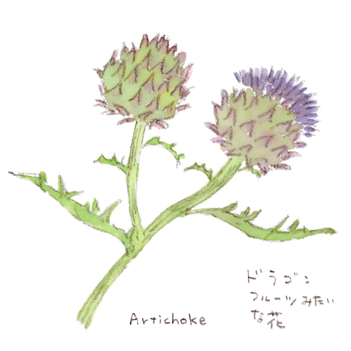 ドラゴンフルーツ のイラスト マンガ作品 95 件 Twoucan