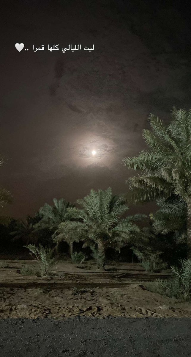 an123o's tweet photo. @3bdul1ah ليت الليالي كلها قمرااا 🤍🤍🤍 https://t.co/t6q5YBWzFK