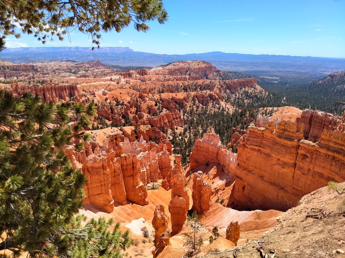 GabbyFortyTwo's tweet photo. Grand Canyon yesterday, Bryce Canyon today. cell coverage was poor so I didn't get good #Stepn results. #StepnAcrossAmerica https://t.co/UjwYtoQrCR