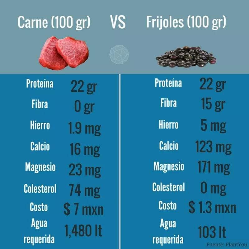 Más Ciencia tweet media