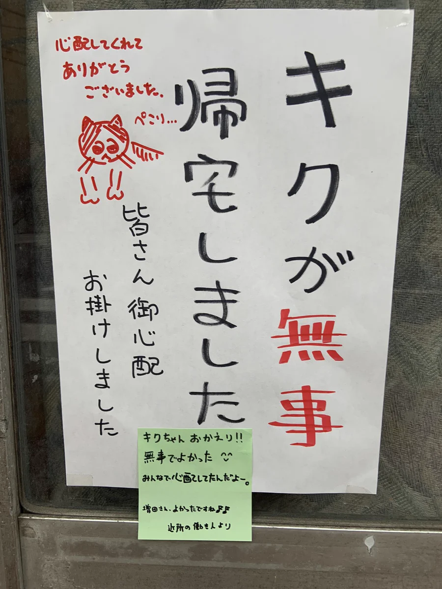 優しい世界！みんな心配していた猫のキクちゃんが無事帰宅！