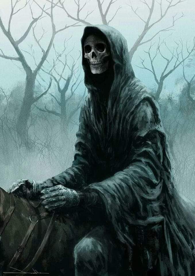 rnmillar's tweet photo. El camino puede ser frío e inclemente igual que la desnudez errante de la muerte. https://t.co/sYMNCYkdpE