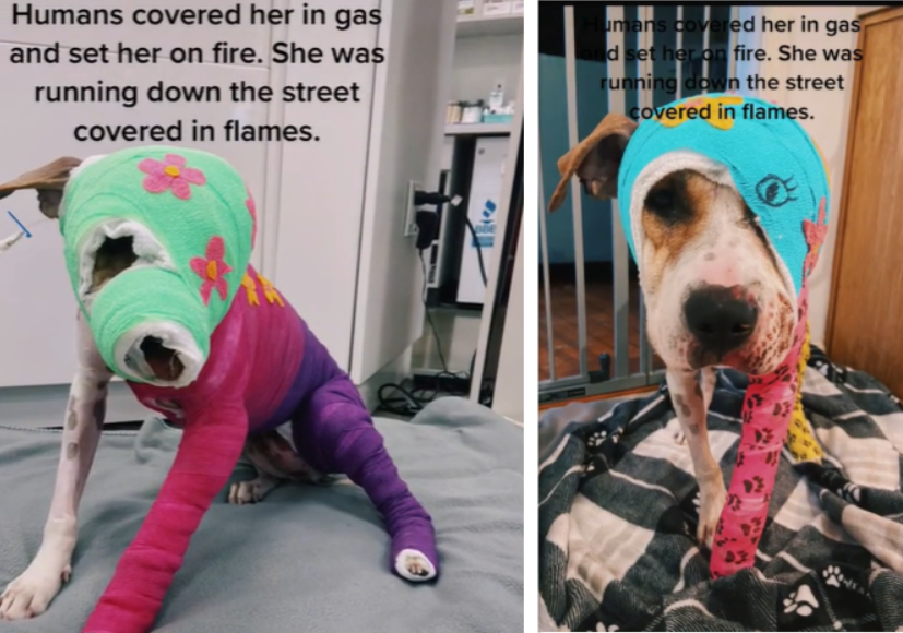 Quinesha Nicole Brown" - Results on X | Live Posts & Updates