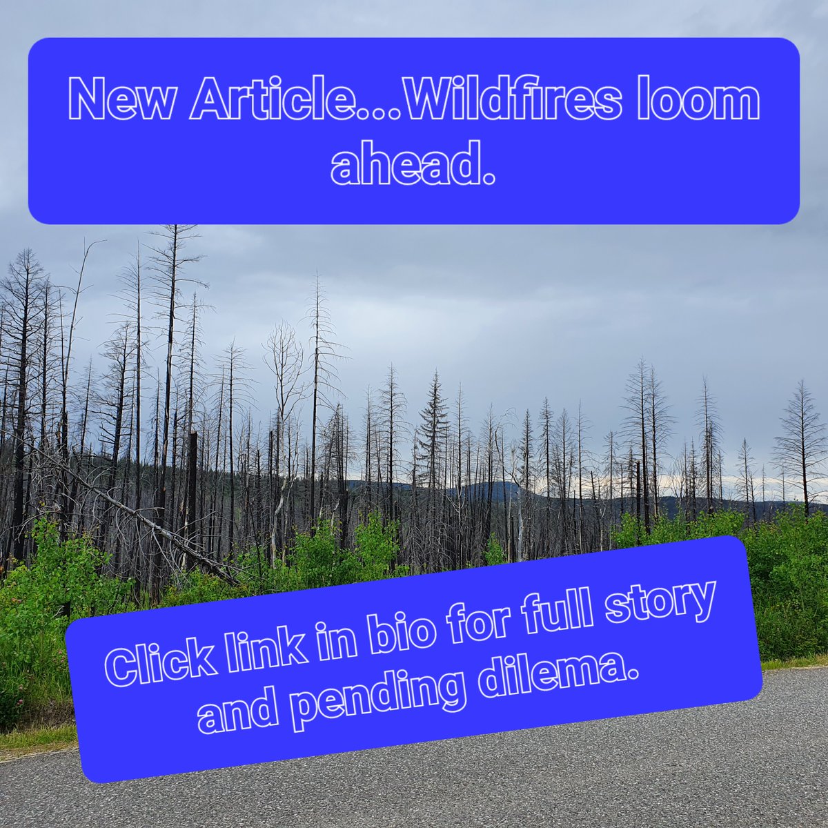 Chronicles of Adventure tweet media