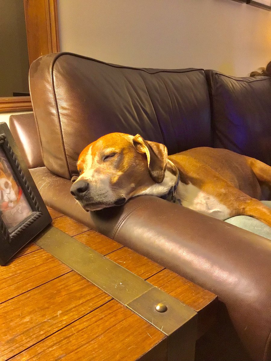 _PaddyO's tweet photo. Nighty nite https://t.co/aAZU71BA49