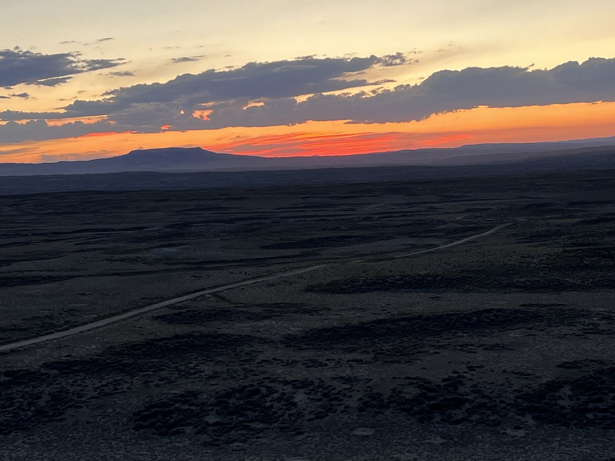 Robert Anemone tweet media