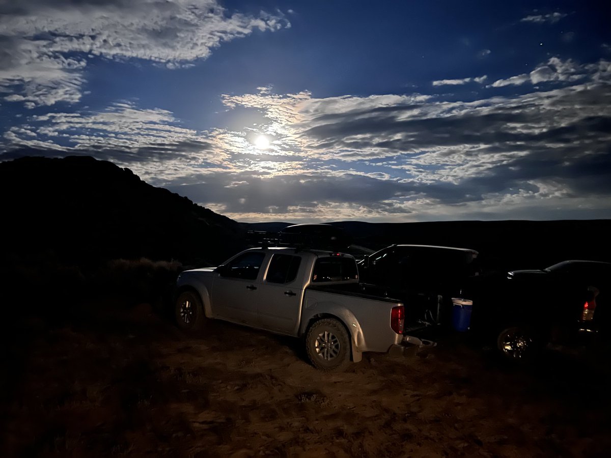 Robert Anemone tweet media