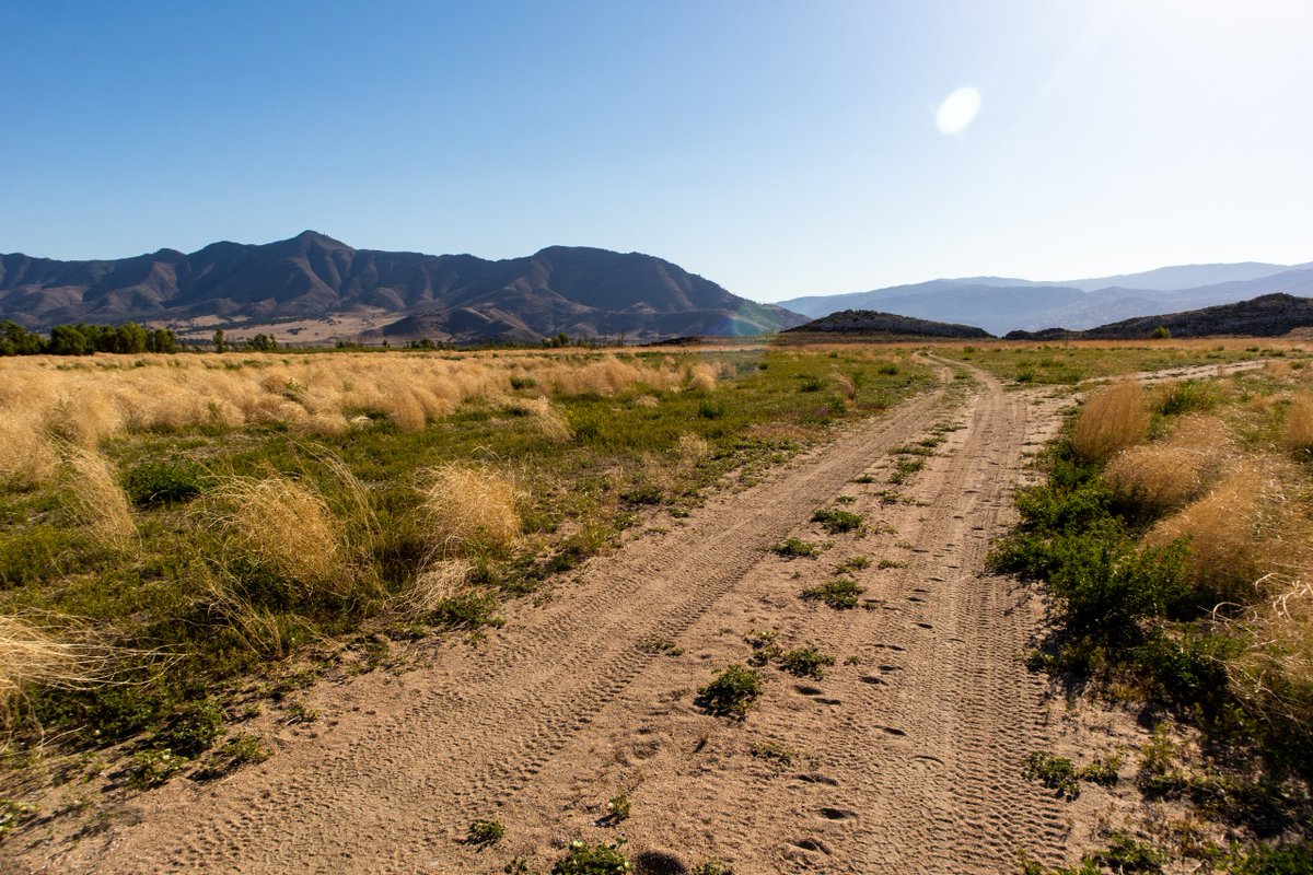 FiggyPuddingPaw's tweet photo. Choices - Lake Isabella, California 

Art prints and more available in my shop!  📷📷📷
https://t.co/7ZVUezRuVt

#NaturePhotography #ThePhotoHour #photography https://t.co/4mNDoVX9WQ