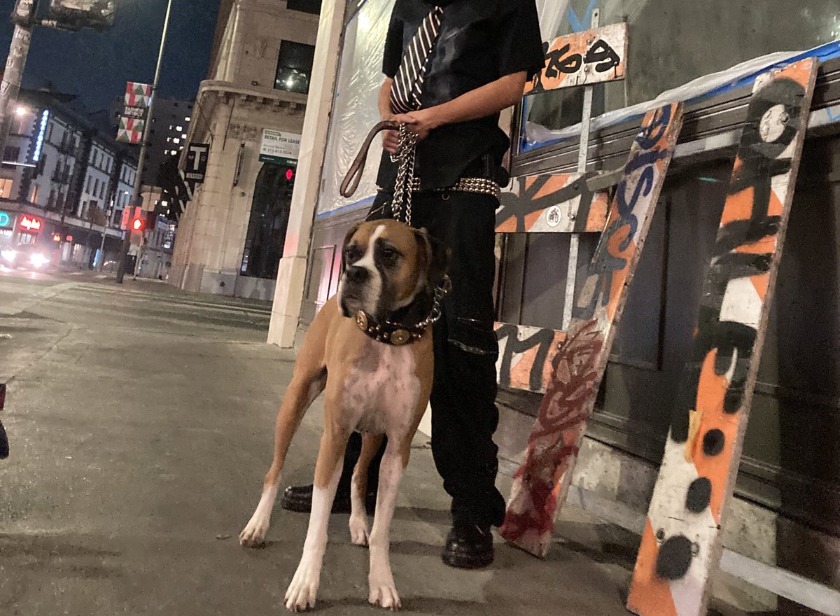 masterplanla's tweet image. Skool uniform ‼️🚧