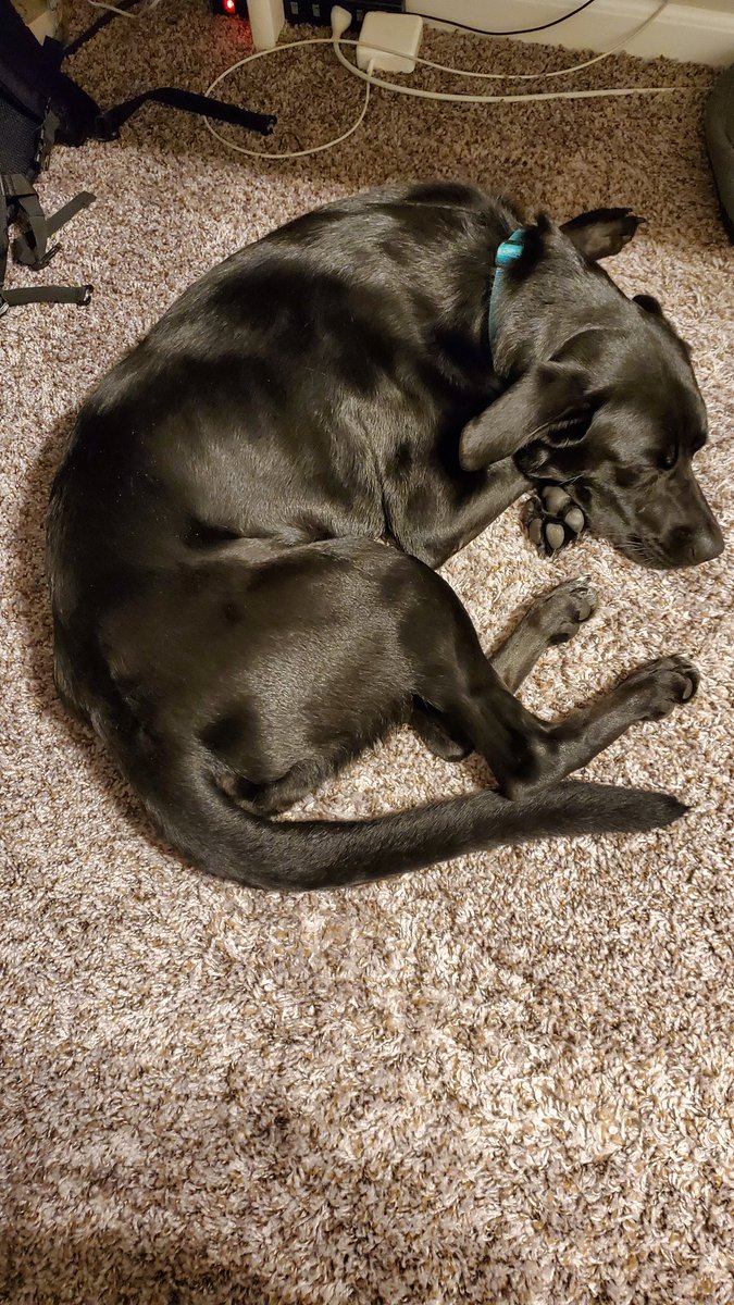 Dwyguy_19's tweet photo. Lazy #Beansday https://t.co/Hsl2VCy1pq