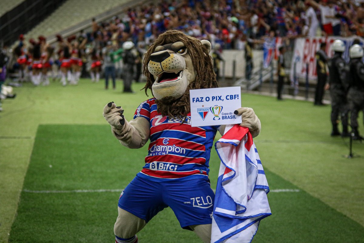 CopaDoNordeste's tweet photo. FAZ O PIX PRO LAION, @CopadoBrasil! 🤑 https://t.co/MF82Ac3tv1