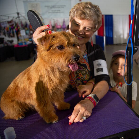 PHOTOS: Over 150 unique dog breeds from across the U.S. competed in the bi-annual Lone Star State Classic Dog Show in Dallas. See more photos by <a href="/KERANews/">KERA News</a> photographer Azul Sordo: kerane.ws/3uJUZAO