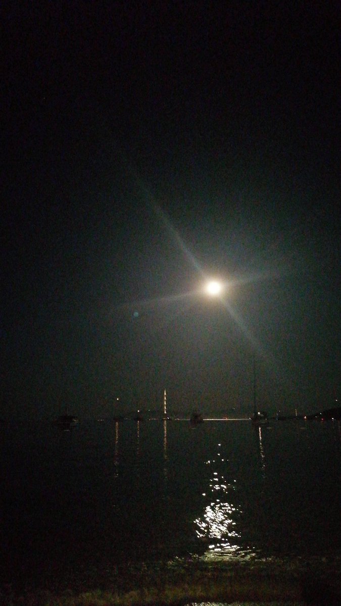 Dilara Nalbantlar (@dnalbantlar) on Twitter photo 