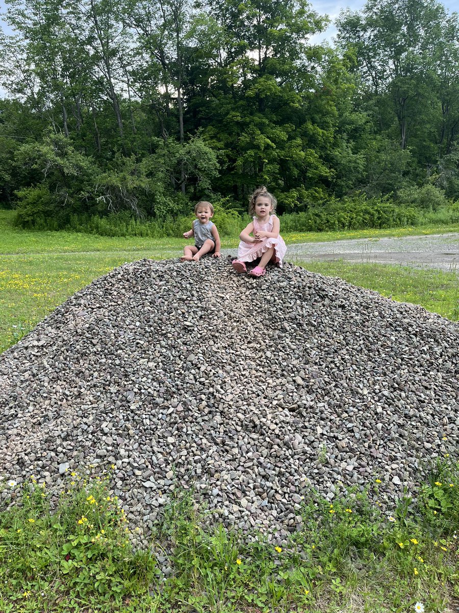 Corin Todd tweet media